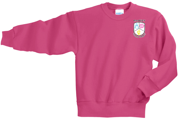 PC90Y - Youth Core Fleece Crewneck Sweatshirt - Ramsey Science Magnet - School Store - Digital Print - #28631