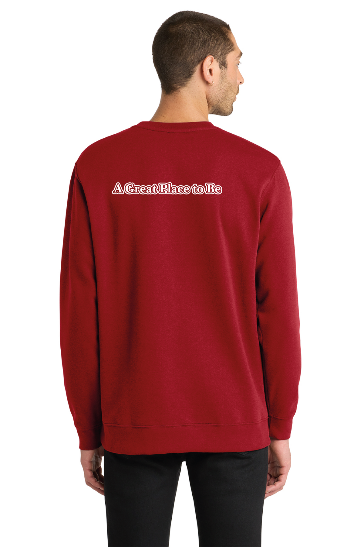DT6104 - District V.I.T. Fleece Crew - Bryan Elementary - Order Collection Store - Transfer Screen Print - #29972