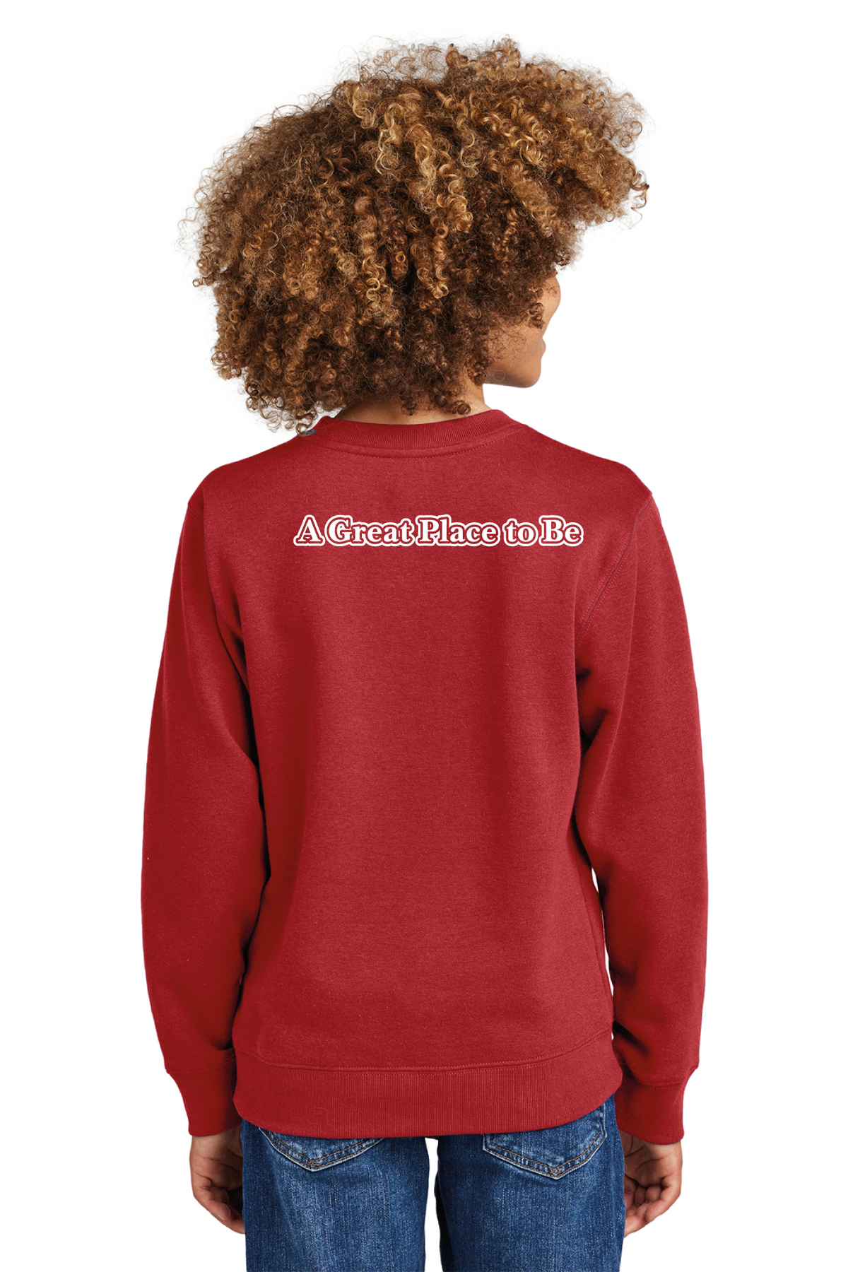 DT6104Y - District Youth V.I.T. Fleece Crew - Bryan Elementary - Order Collection Store - Transfer Screen Print - #29972