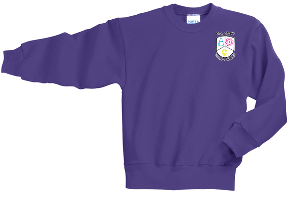 PC90Y - Youth Core Fleece Crewneck Sweatshirt - Ramsey Science Magnet - School Store - Digital Print - #28631