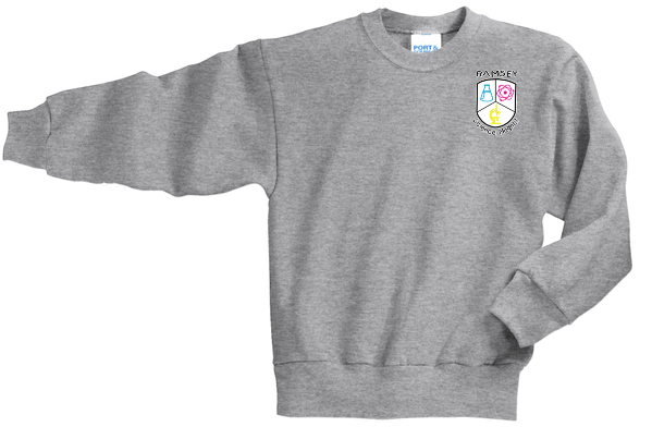 PC90Y - Youth Core Fleece Crewneck Sweatshirt - Ramsey Science Magnet - School Store - Digital Print - #28631