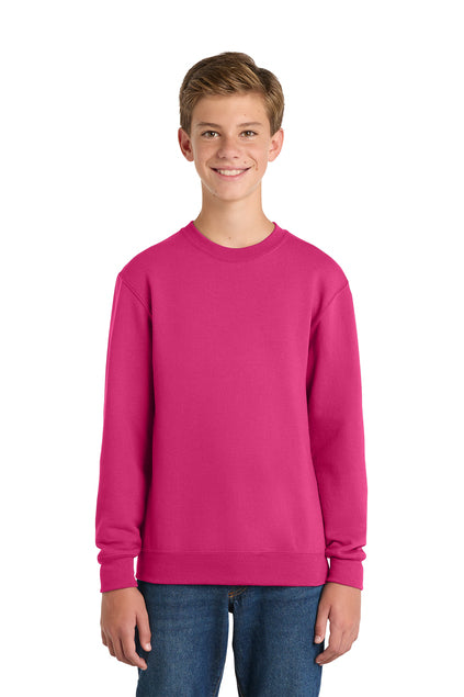 PC90Y - Youth Core Fleece Crewneck Sweatshirt - Ramsey Science Magnet - School Store - Digital Print - #28631