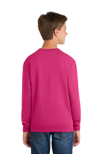 PC90Y - Youth Core Fleece Crewneck Sweatshirt - Ramsey Science Magnet - School Store - Digital Print - #28631