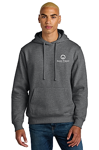 DT6600 - District V.I.T. Super Heavyweight Fleece Hoodie - Idaho Forest Group - Logowear Store - Transfer Screen Print - #29726