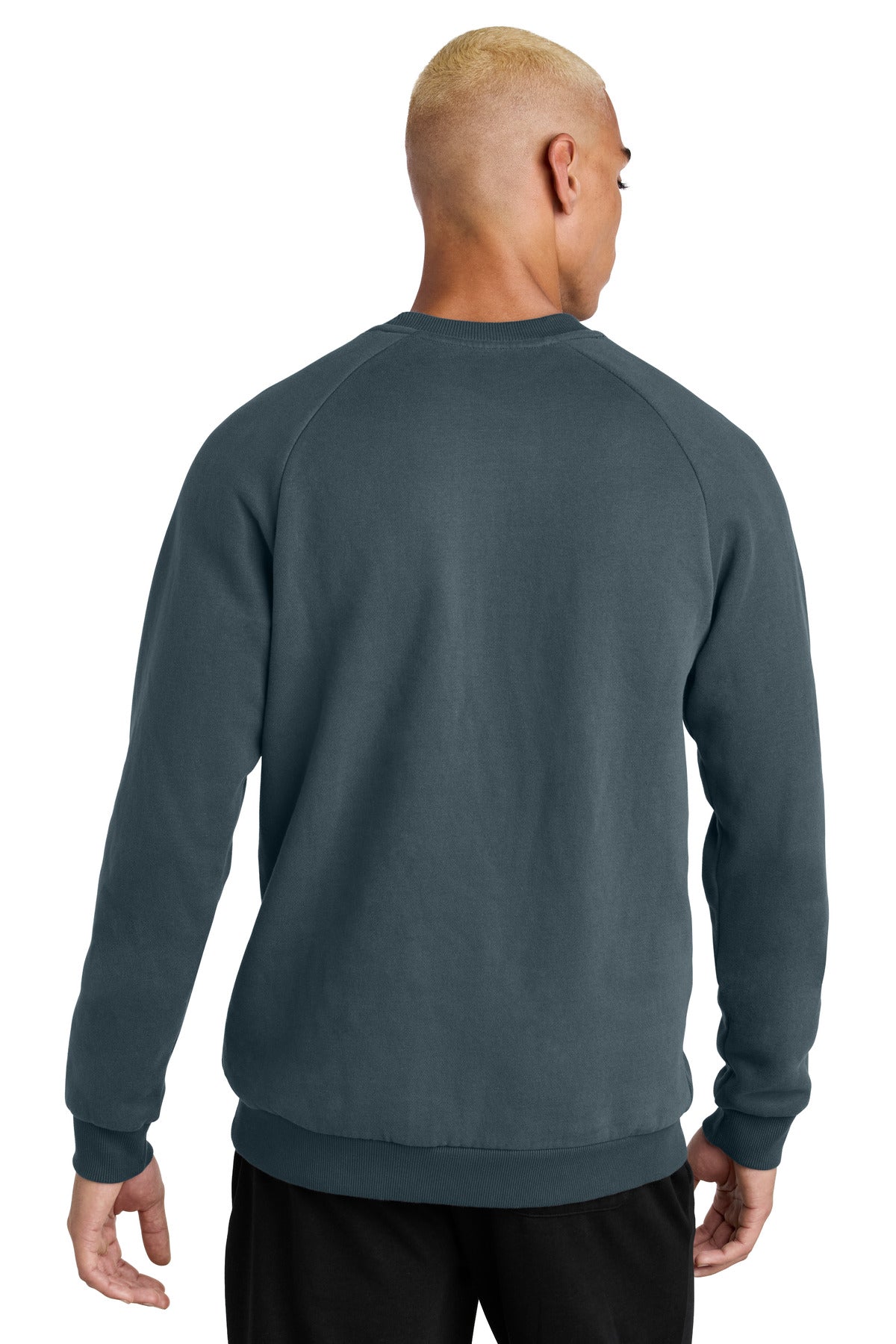 District Cloud Fleece Crew DT7804 back model image.