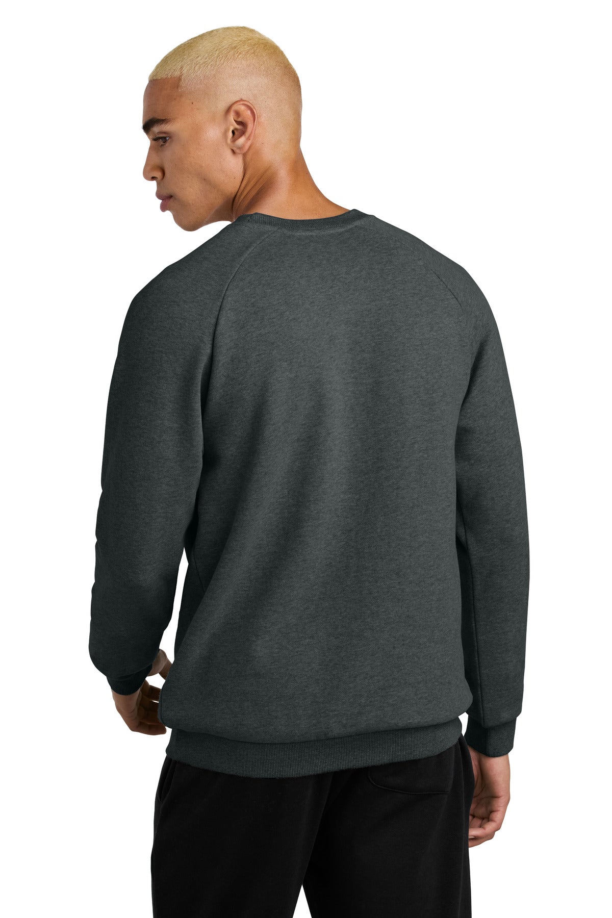 District Cloud Fleece Crew DT7804 back model image.
