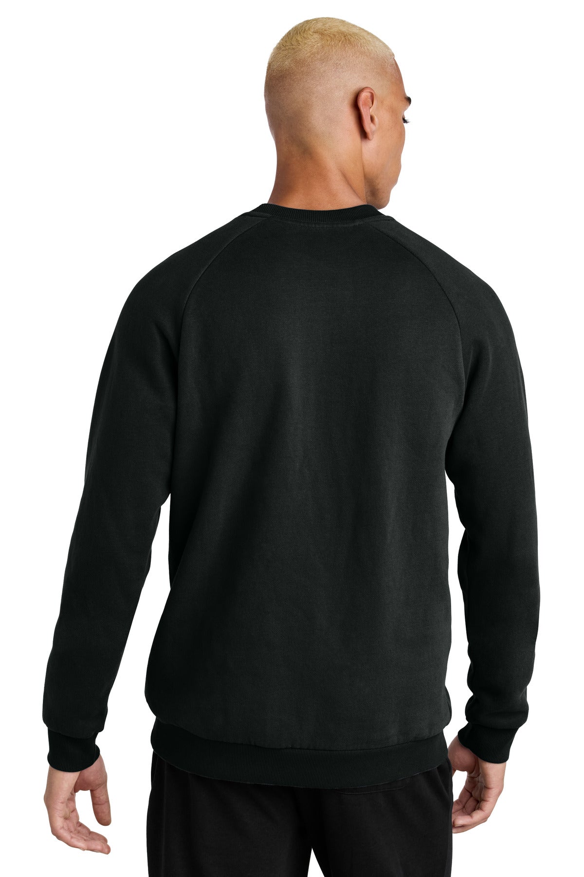 District Cloud Fleece Crew DT7804 back model image.