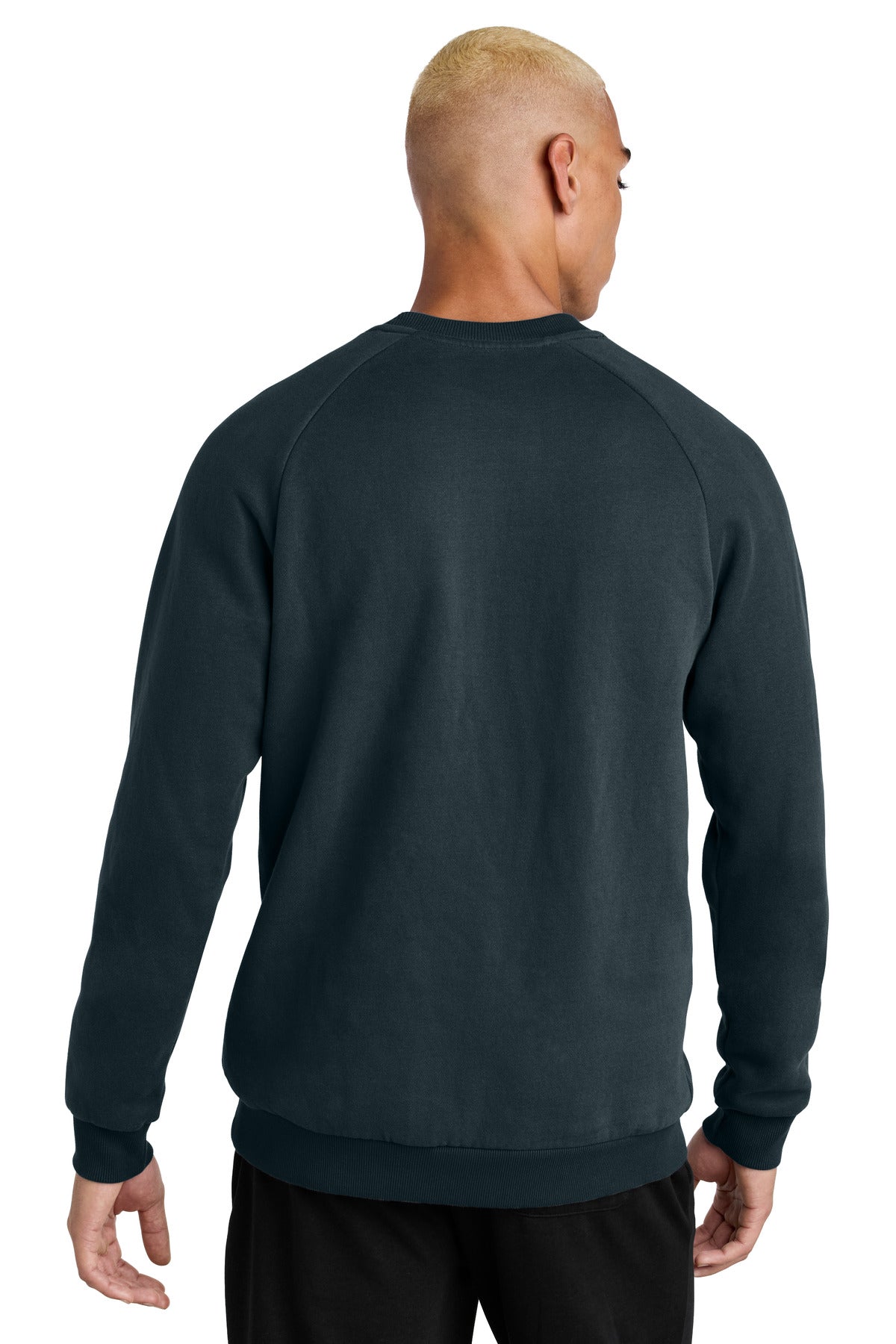 District Cloud Fleece Crew DT7804 back model image.