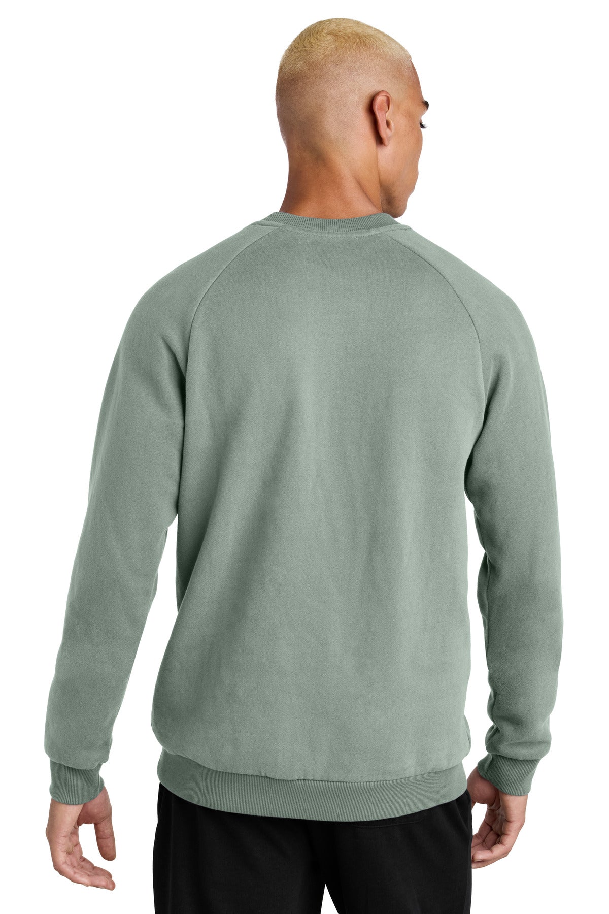District Cloud Fleece Crew DT7804 back model image.