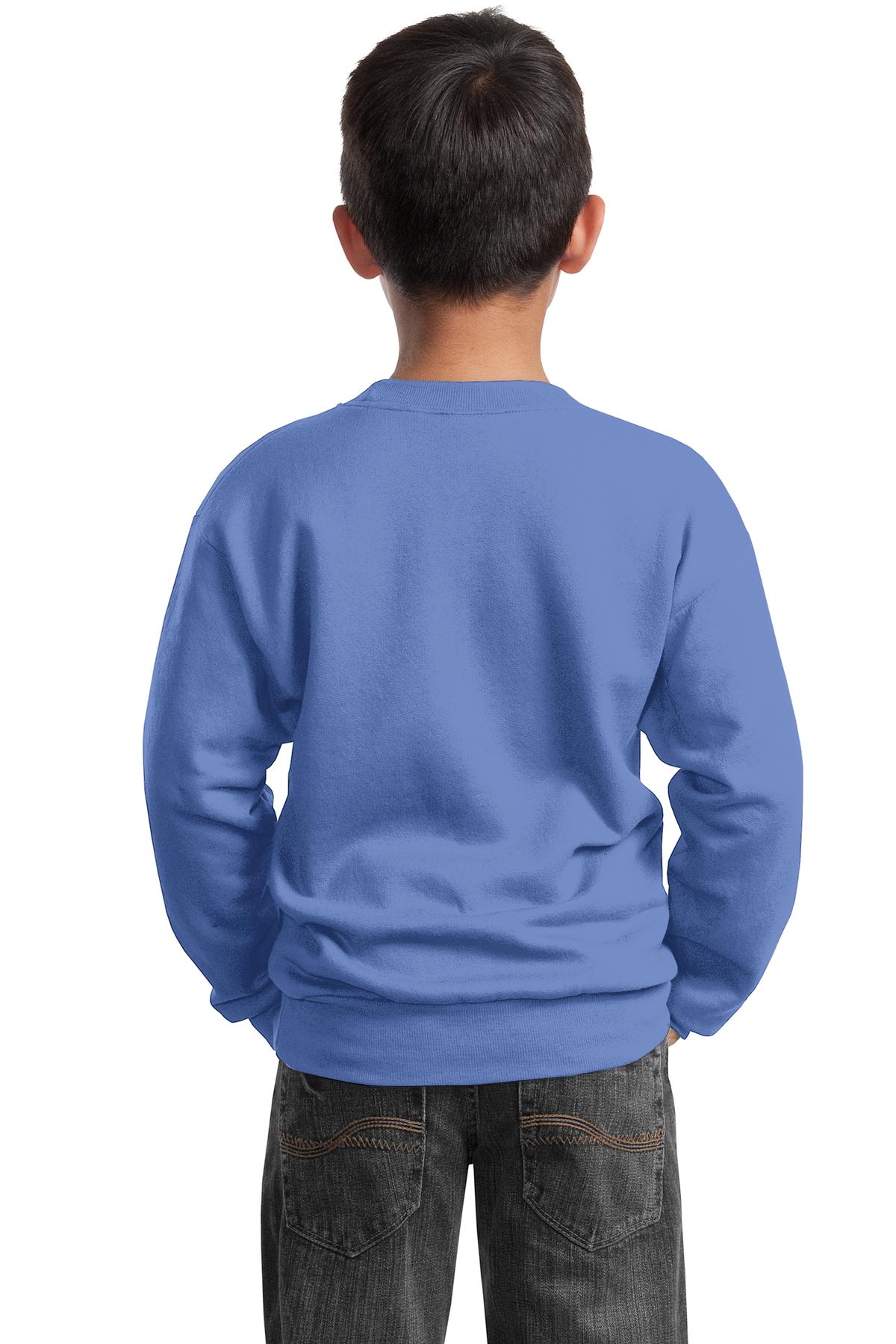 Port &amp; Company Youth Core Fleece Crewneck Sweatshirt  PC90Y back model image.