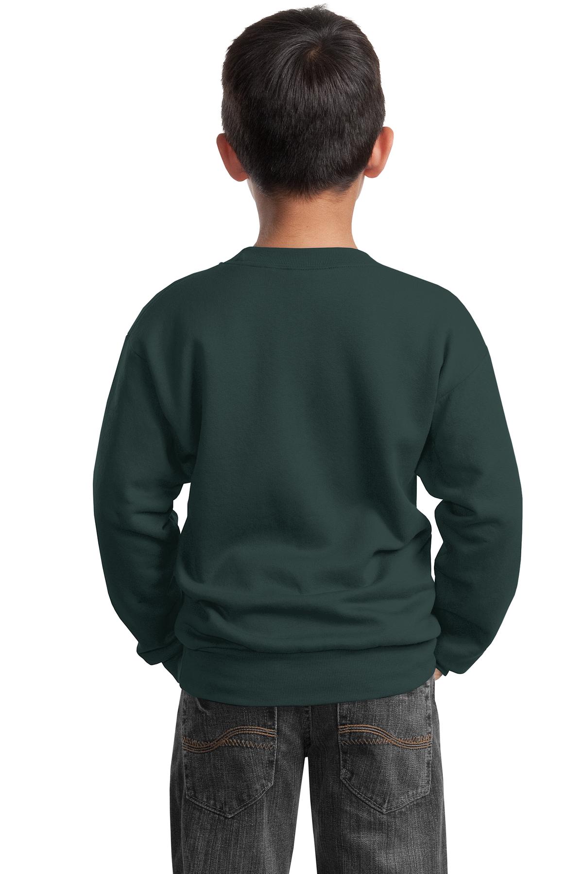 Port &amp; Company Youth Core Fleece Crewneck Sweatshirt  PC90Y back model image.