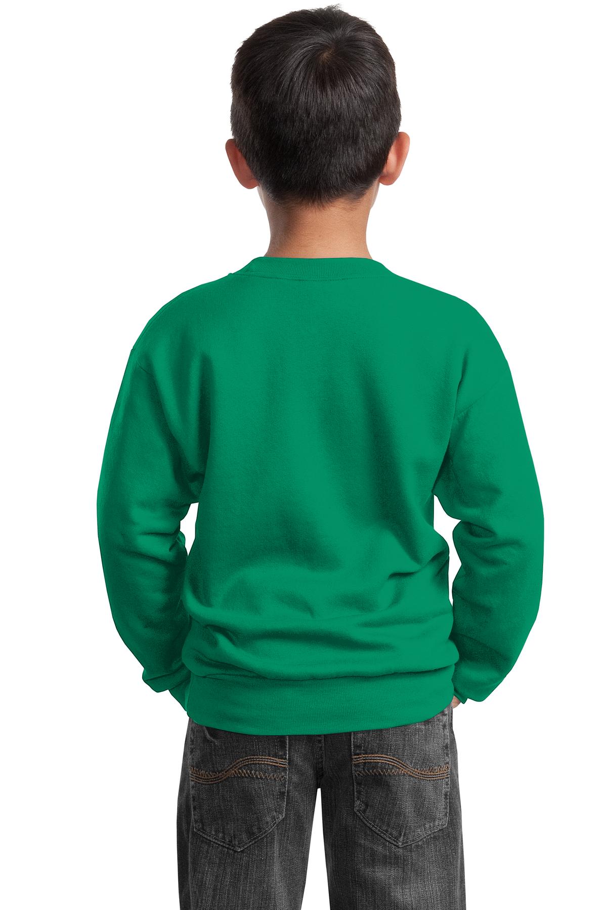 Port &amp; Company Youth Core Fleece Crewneck Sweatshirt  PC90Y back model image.