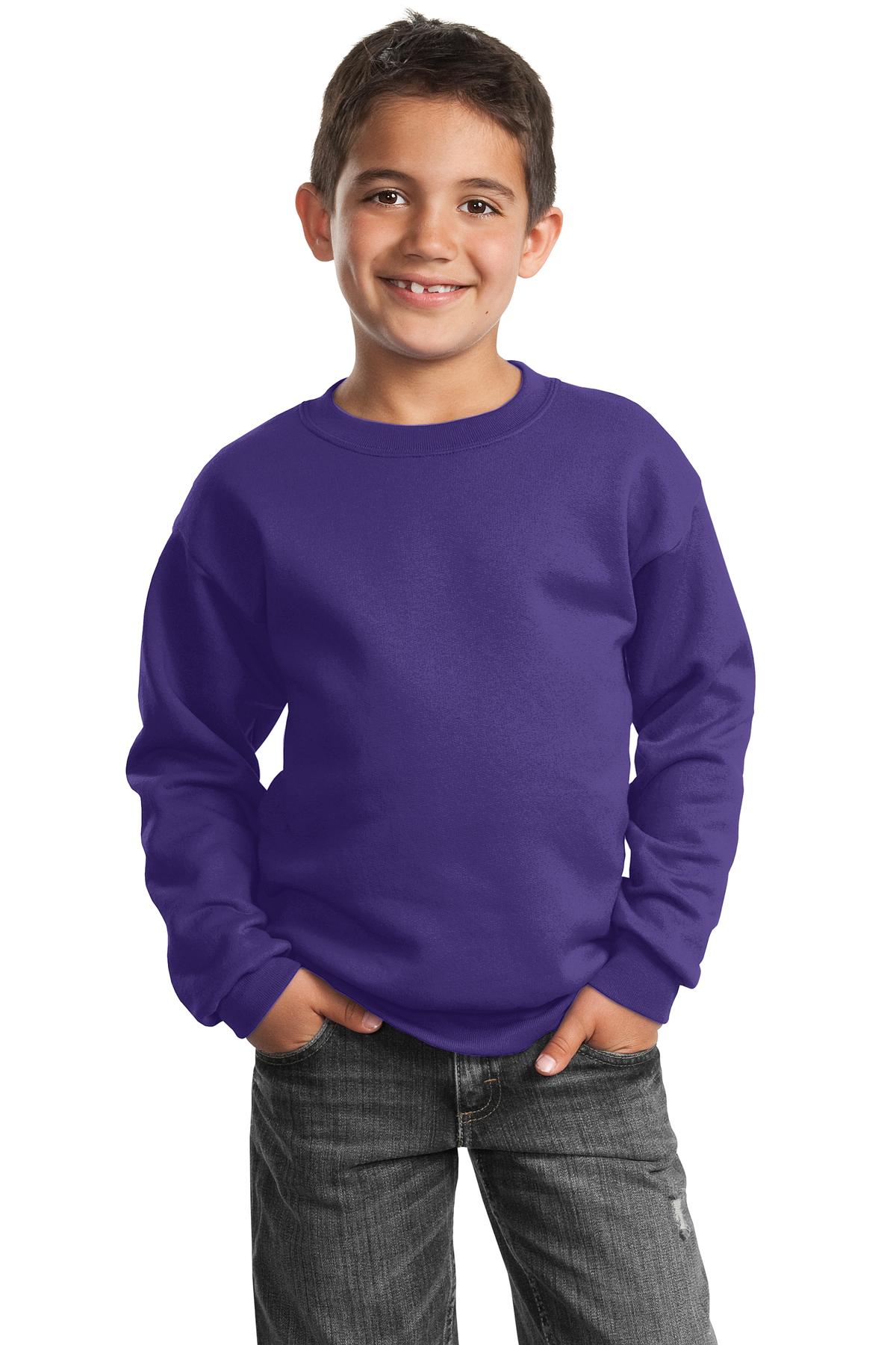 Port &amp; Company Youth Core Fleece Crewneck Sweatshirt  PC90Y front model image.