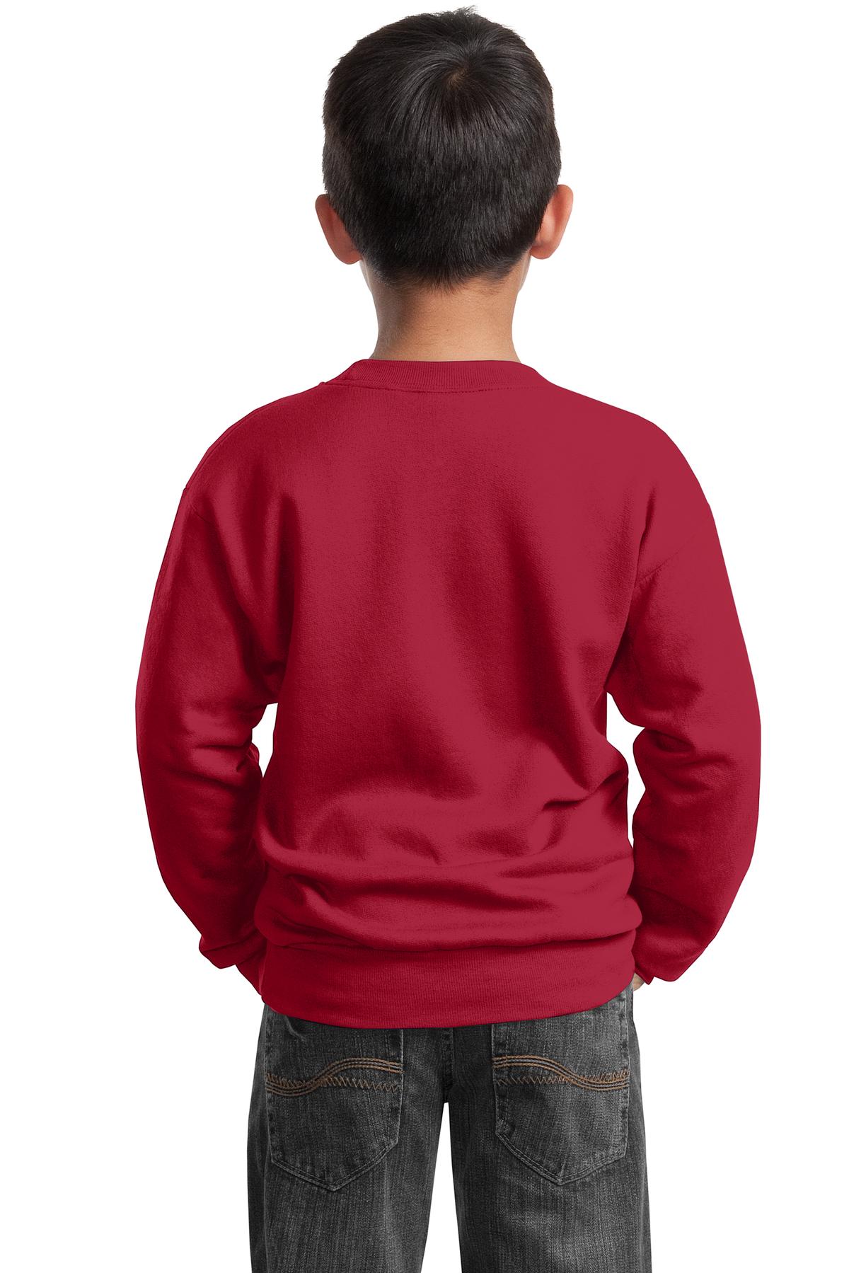 Port &amp; Company Youth Core Fleece Crewneck Sweatshirt  PC90Y back model image.